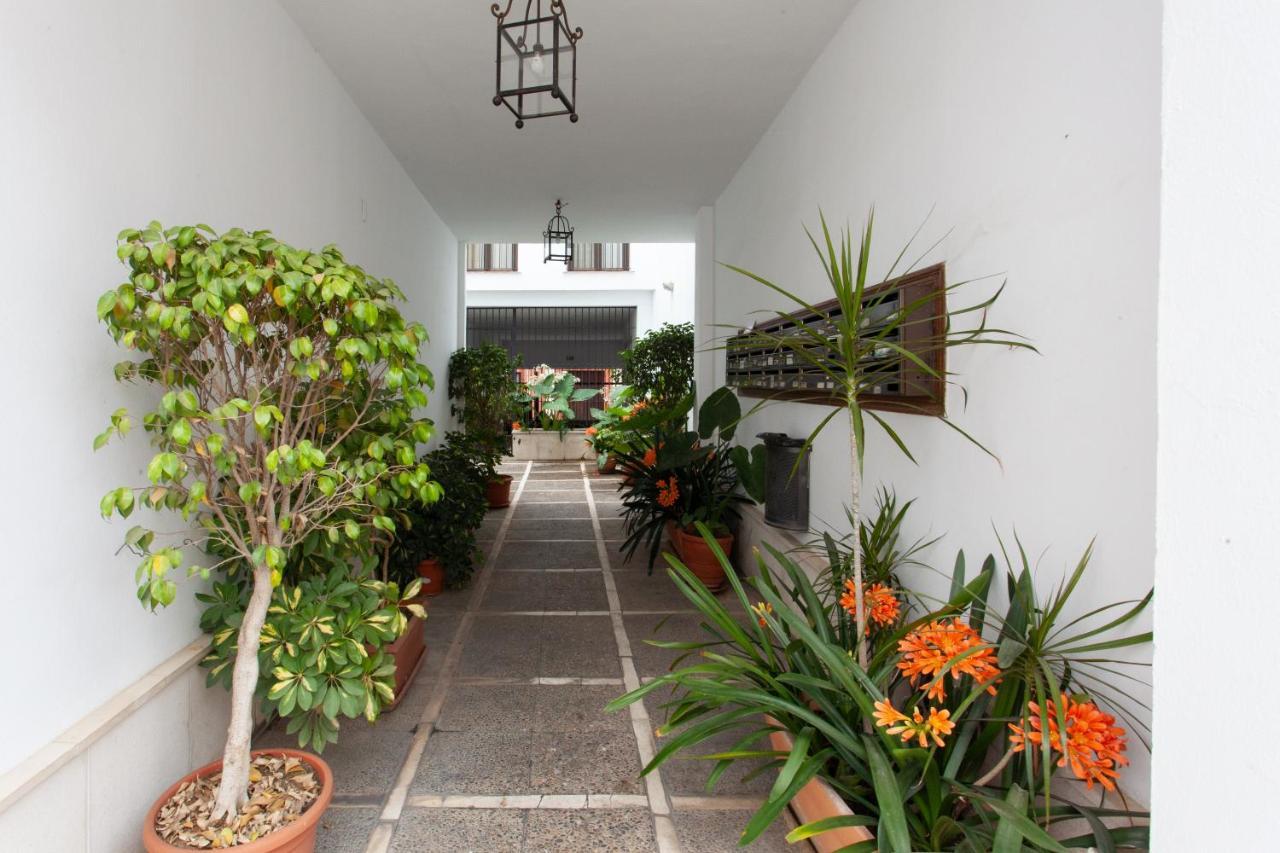 Pikis Center 1 Appartement *
